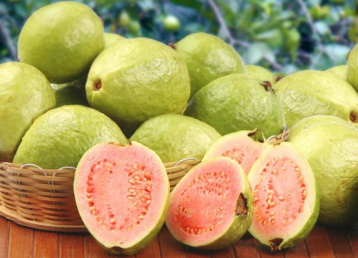 brazil fruits pictures