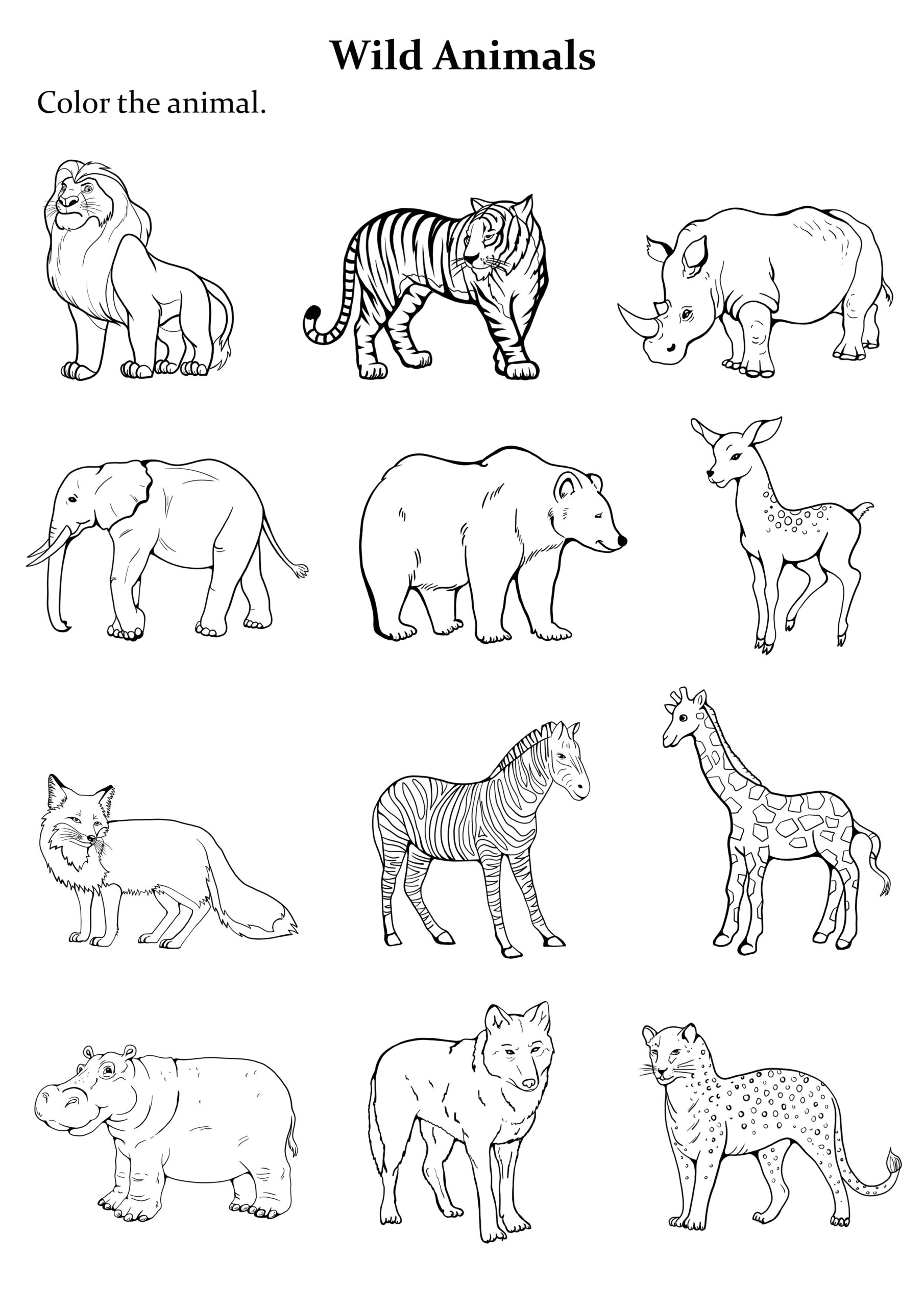 free printable animal pictures pdf