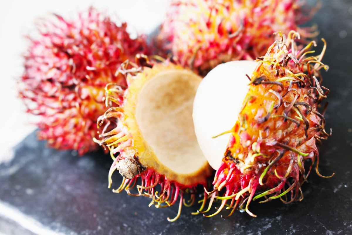 lychee fruit picture