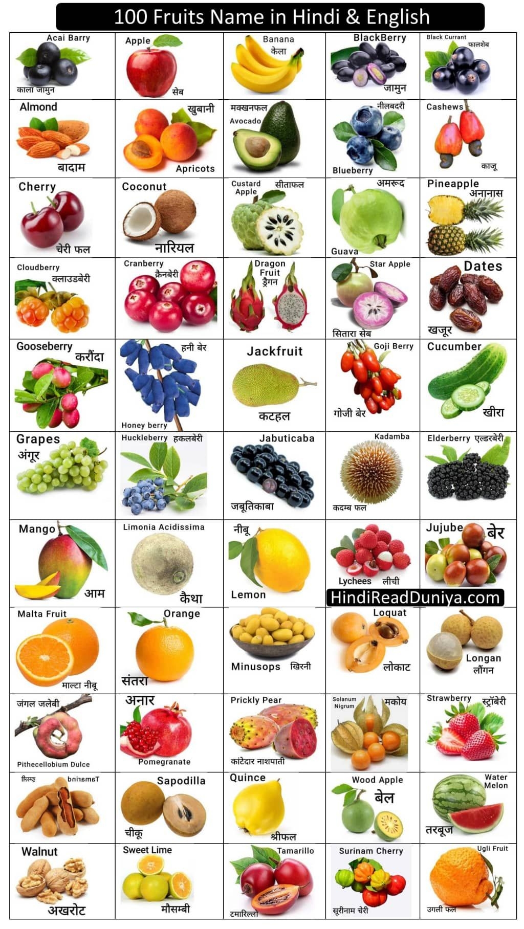 fruits name with picture in english and hindi