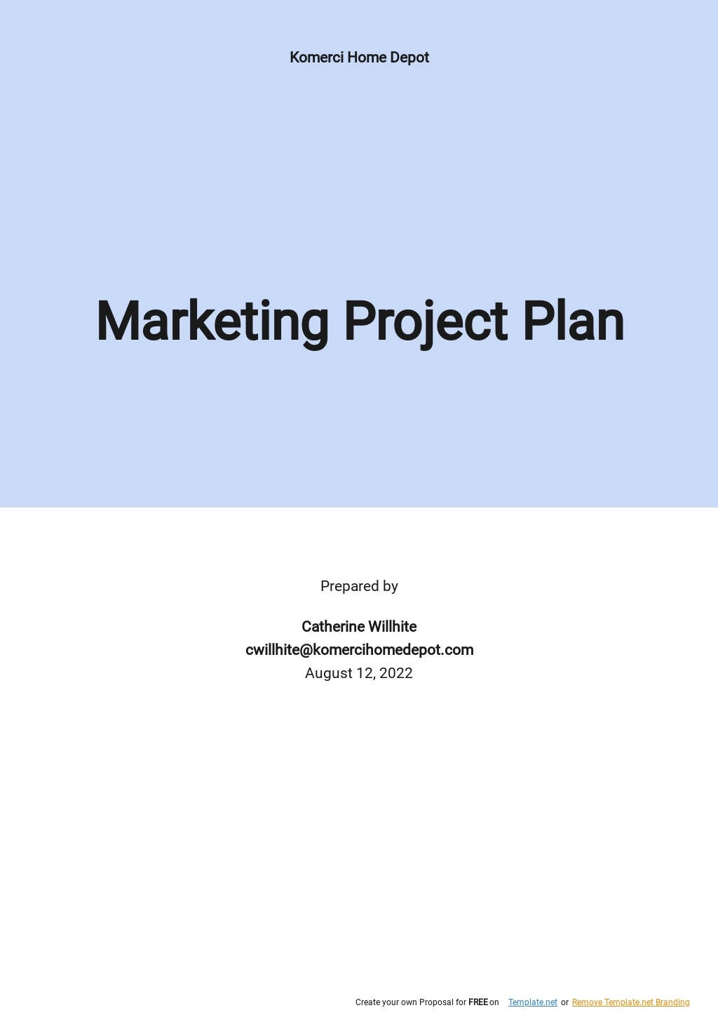 11 Marketing Project Plan Google Docs Templates Free Downloads 