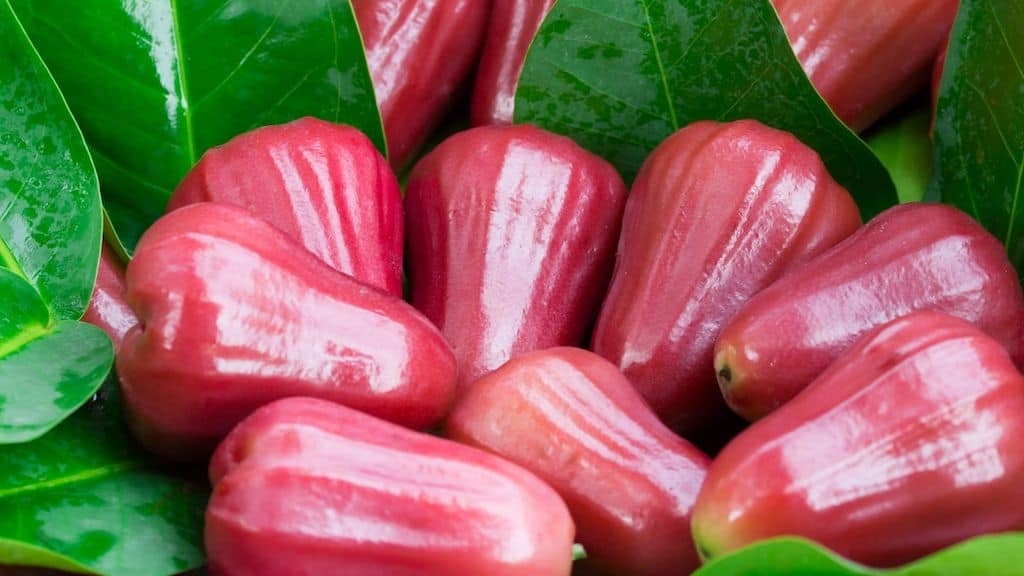 13 Jamaican Fruits To Try When Traveling To Jamaica