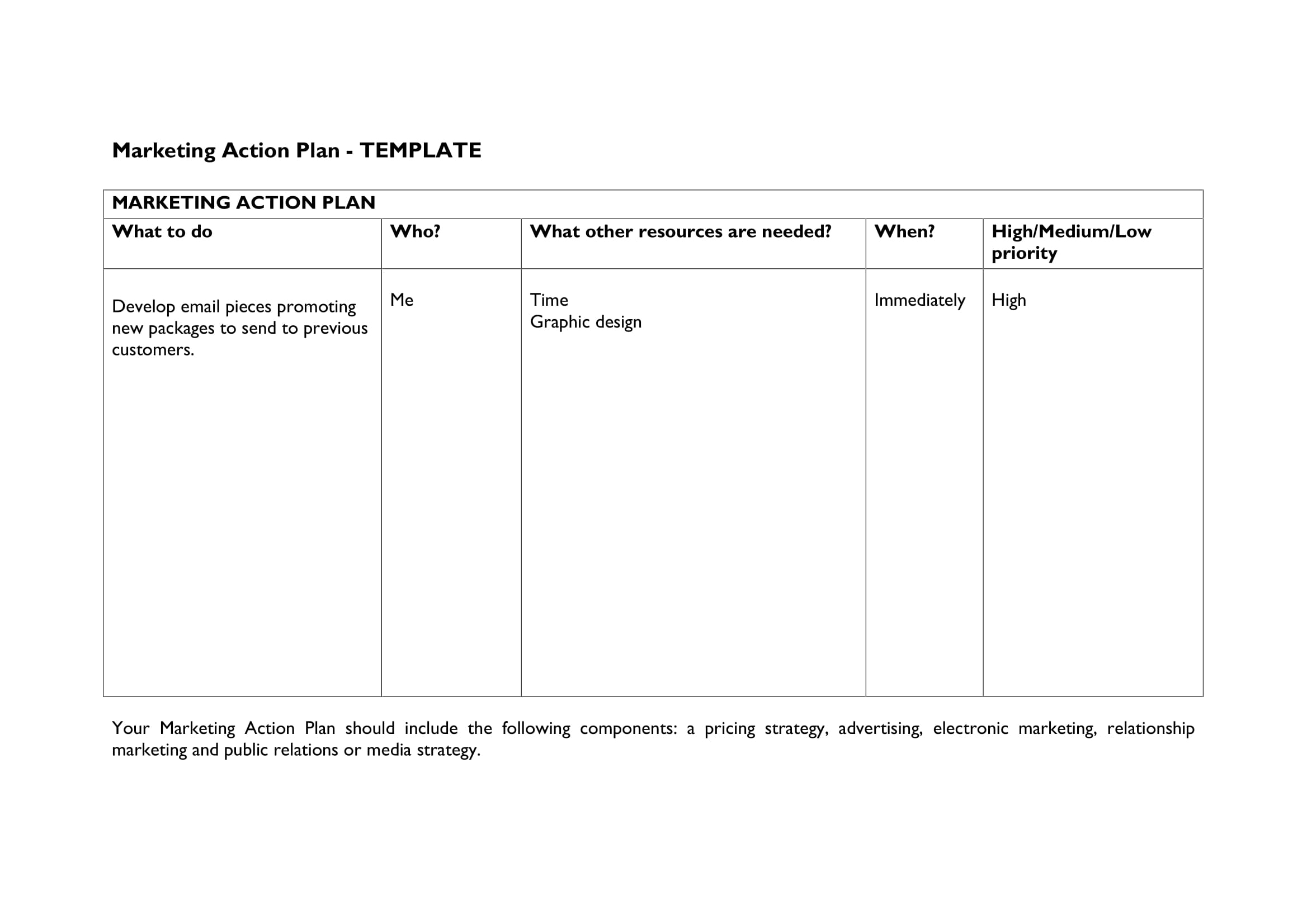 13 Printable Strategic Action Plan Examples PDF Word Examples