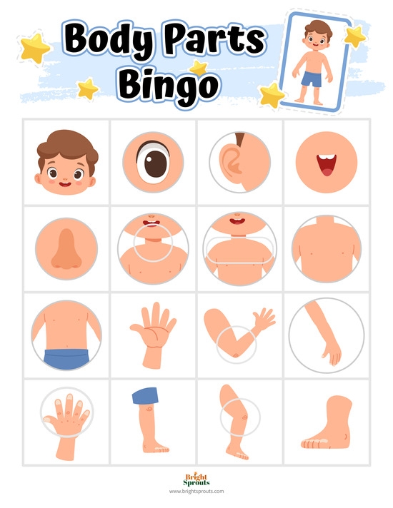 free printable pictures of body parts for preschoolers