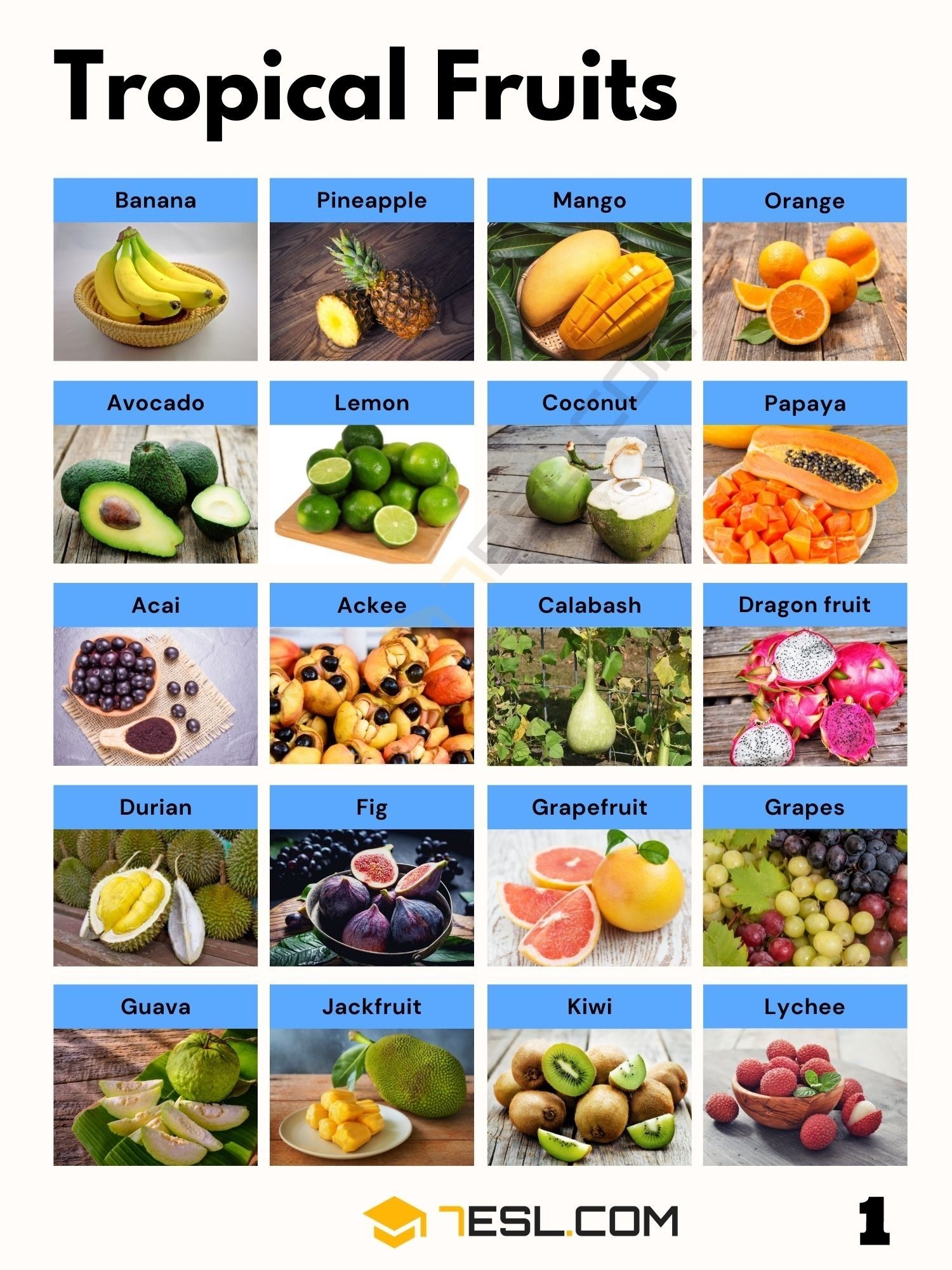 166 Tropical Fruits In English 7ESL Fruits And Vegetables List