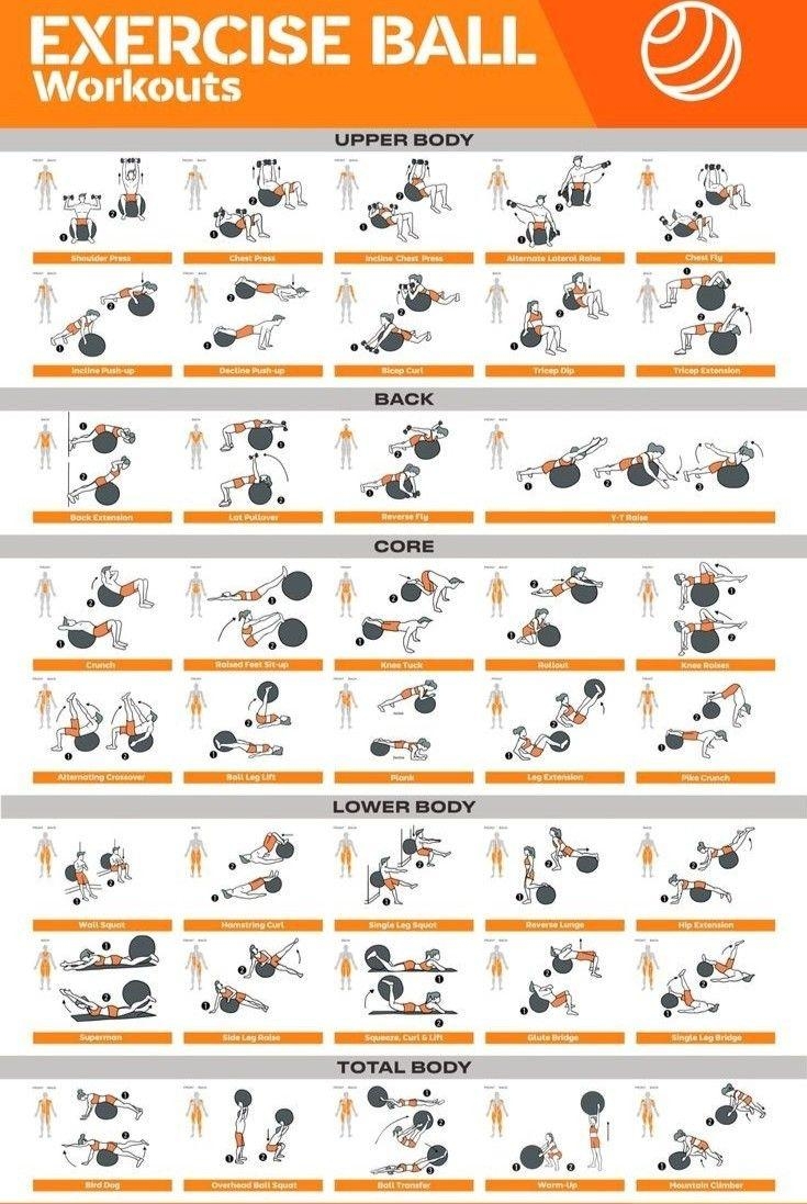 2 Pack Half Balance Ball Workout Poster Yoga Ball Exercise 