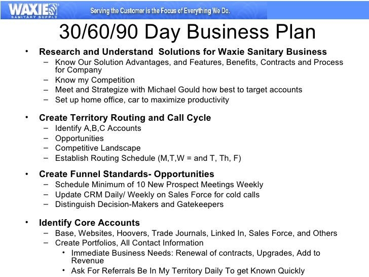 20 90 Day Action Plan Template