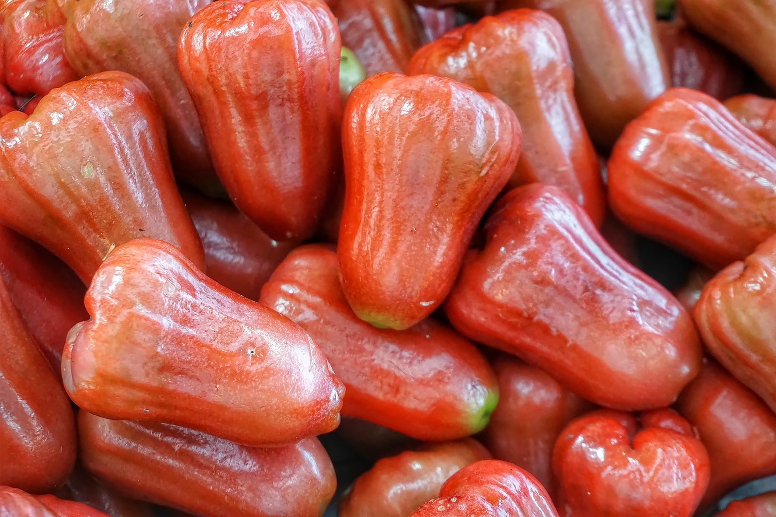 20 Amazing Thai Fruits A Collection Of Great Thai Fruits To Try In 