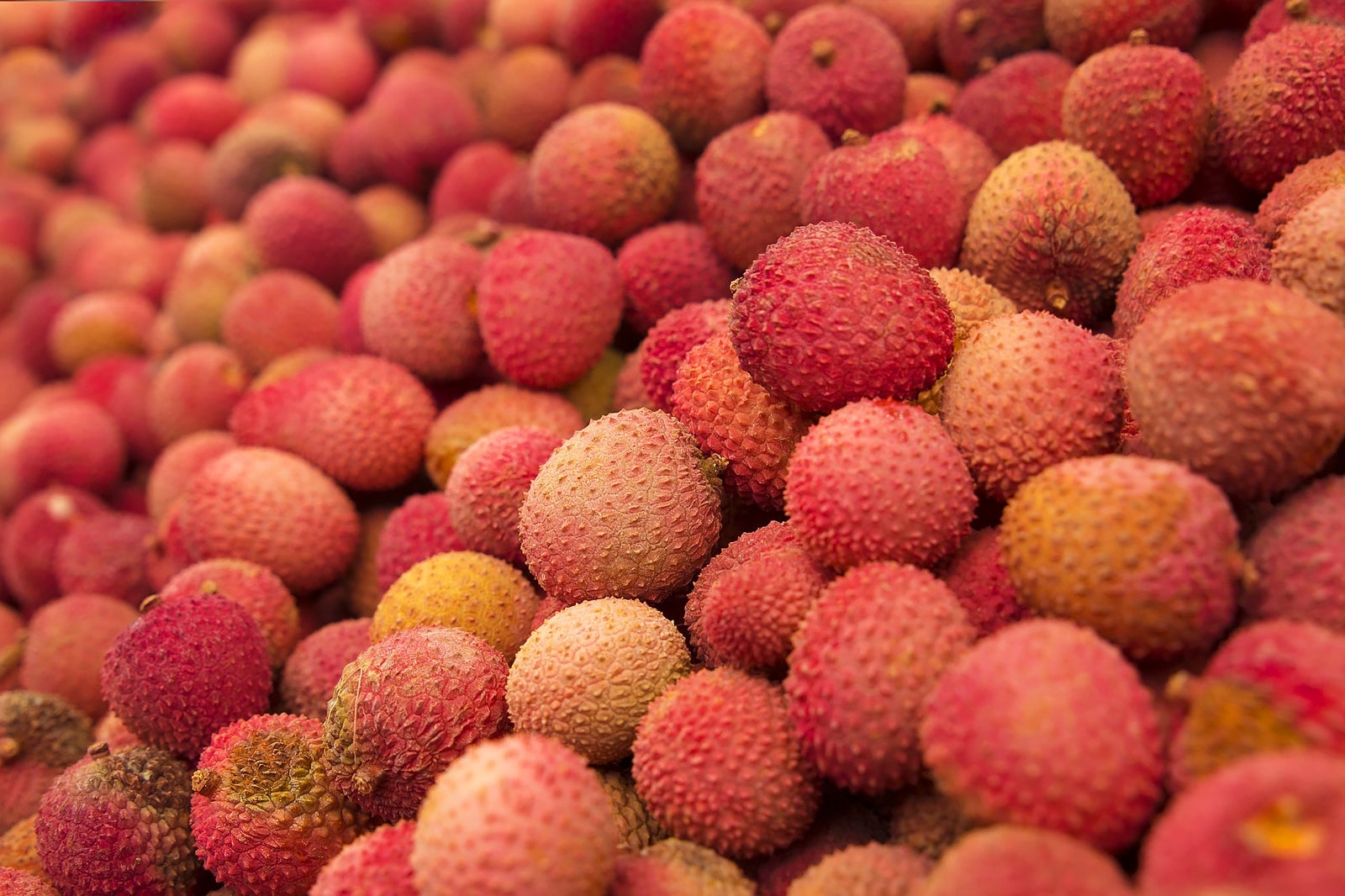 20 Amazing Thai Fruits A Collection Of Great Thai Fruits To Try In 