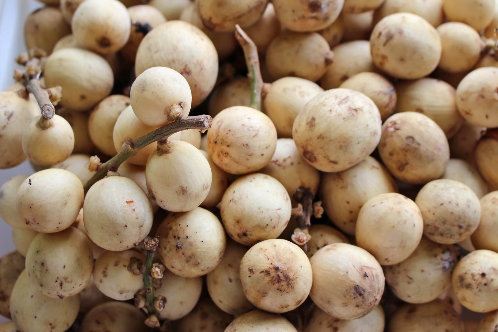 20 Amazing Thai Fruits A Collection Of Great Thai Fruits To Try In