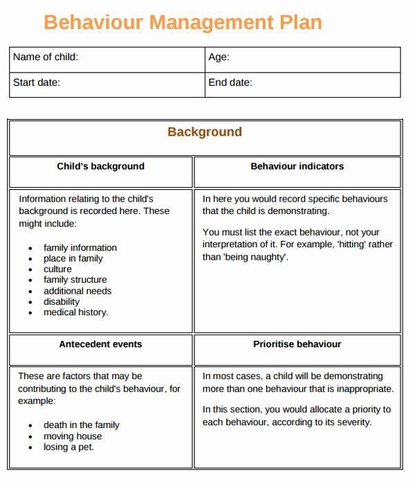20 Behavior Support Plan Template
