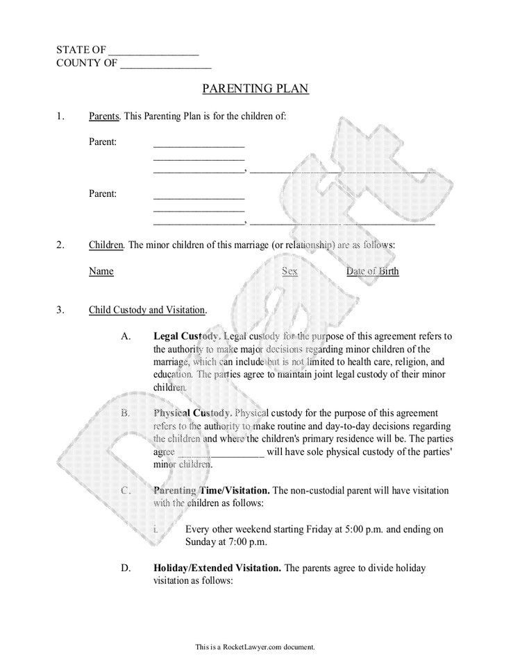 20 Co Parenting Plan Template Simple Template Design