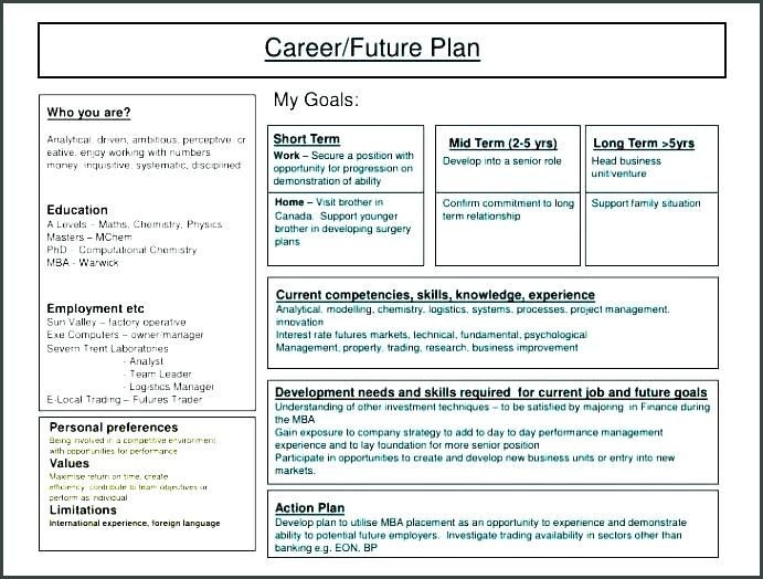 20 Five Year Career Plan Template Simple Template Design