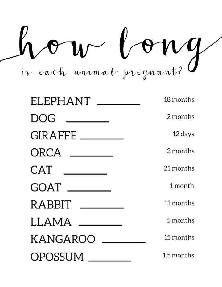 free printable baby shower animal game