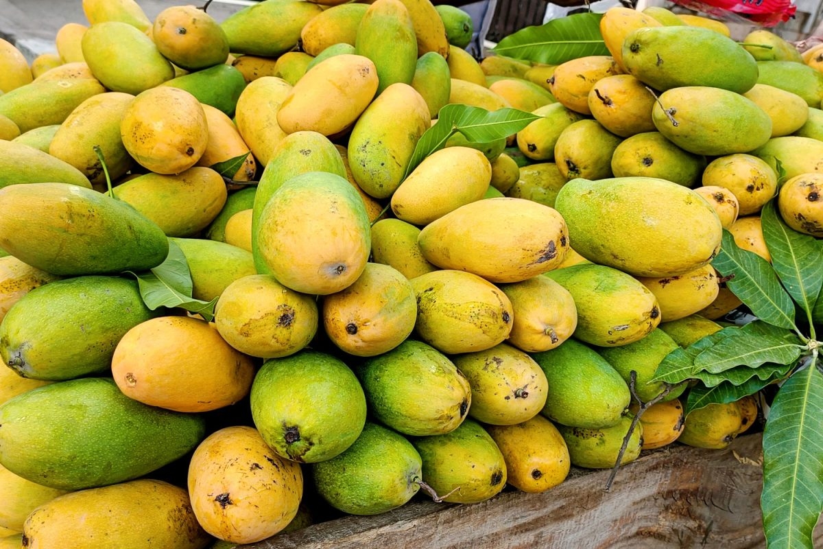 20 Indian Fruits And Vegetables You Need To Try