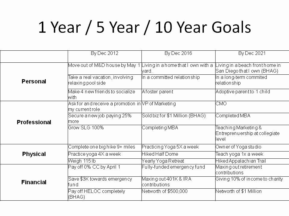 1 3 5 year plan template