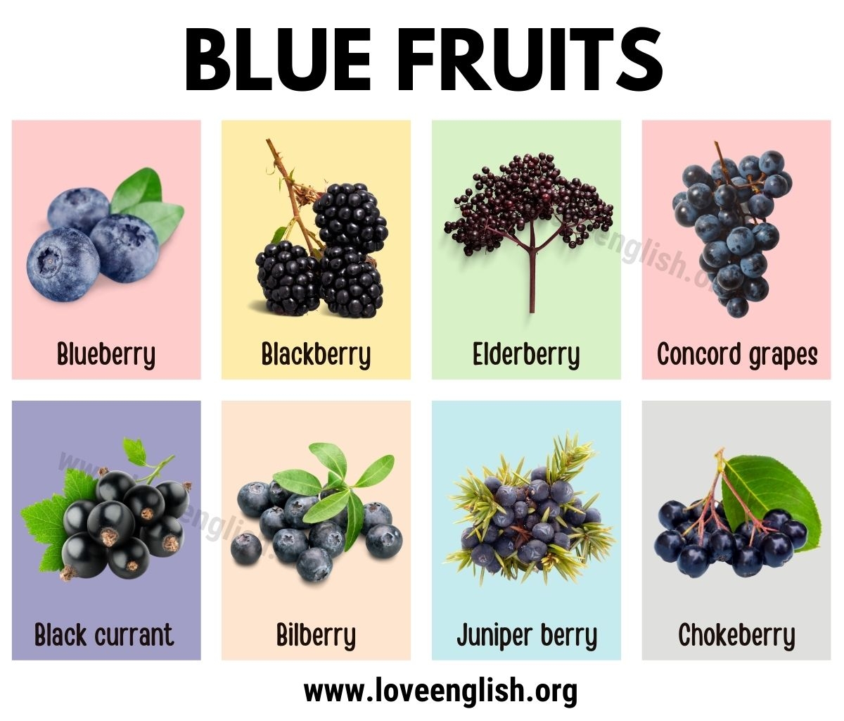 24 Blue Fruits With Best Benefits For Your Health Love English