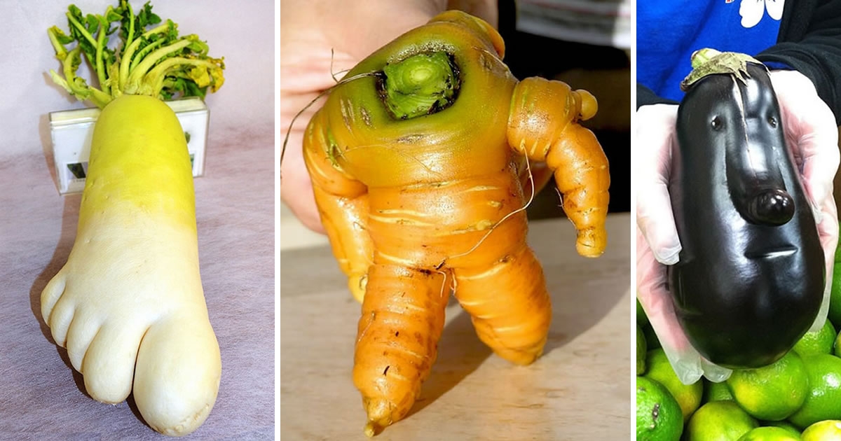 funny fruits and vegetables pictures