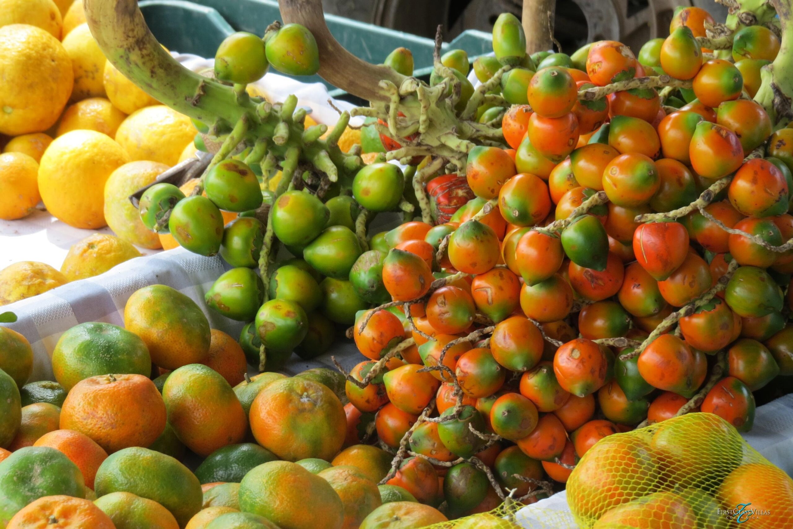 3 Amazing Costa Rican Fruits You Didn t Know Existed Costa Rica Villa 