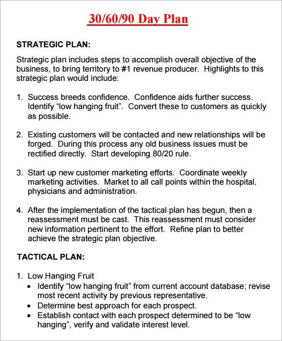 30 Day Business Plan Template For Loan Officers