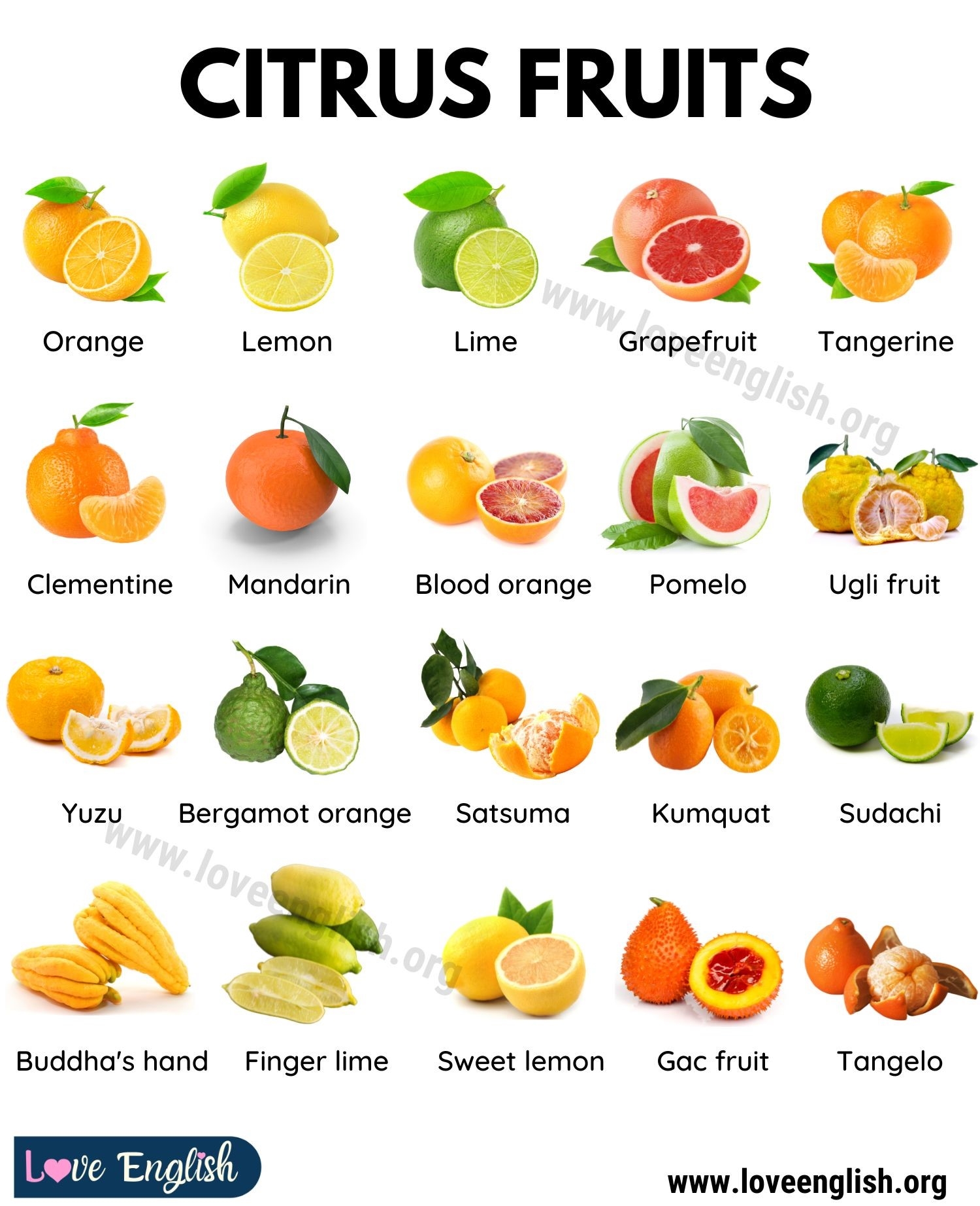30 Delicious Citrus Fruits You 39 ve Got To Try Love English