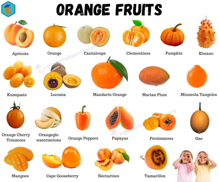all type of fruits with picture