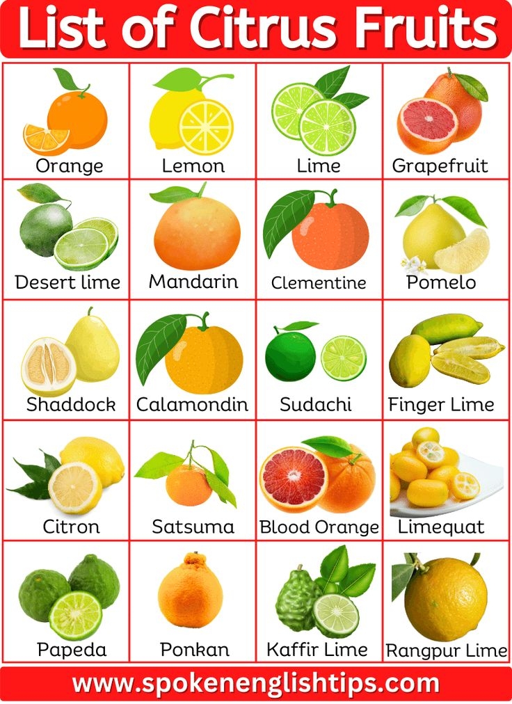 40 List Of Citrus Fruits Name With Pictures Citrus Fruit List Fruit 