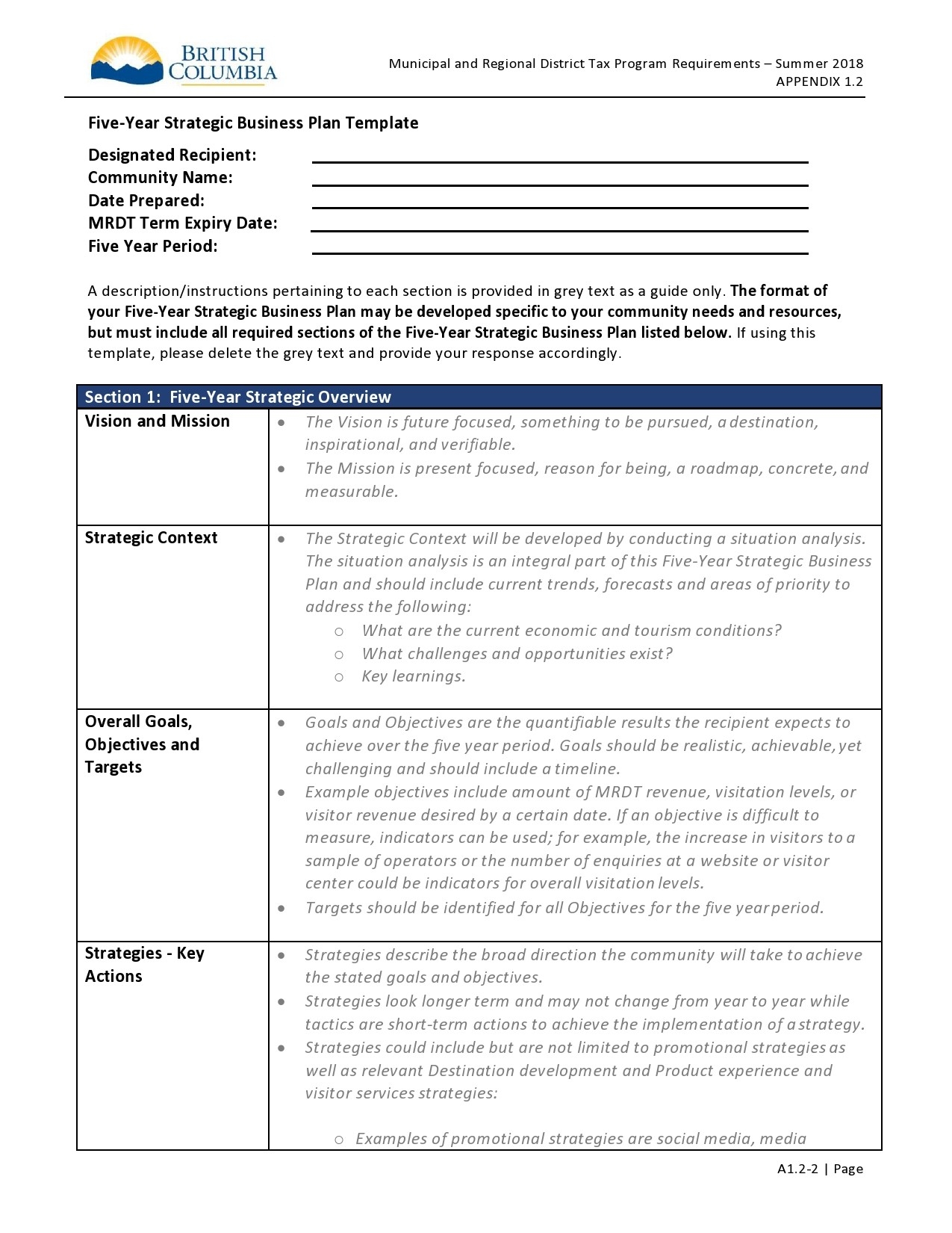 40 Useful 5 Year Plan Templates Personal Career Business 