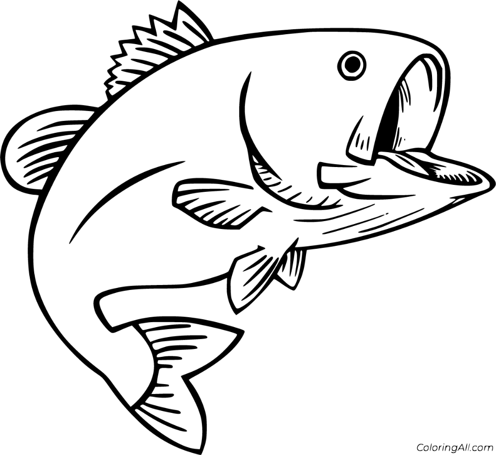 free printable bass fish pictures