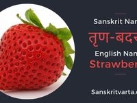 45 Fruits Name In Sanskrit English Ideas Fruit Names Sanskrit 