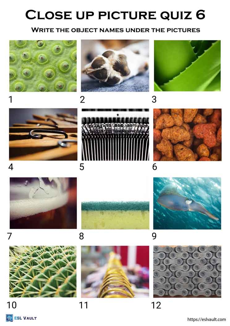 8 Close Up Picture Quiz Printables ESL Vault