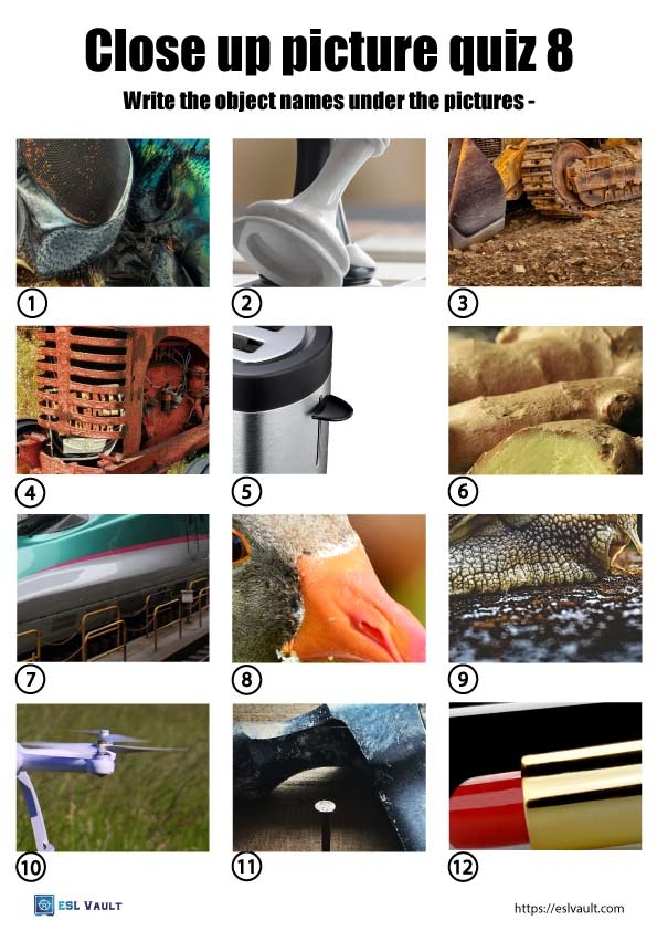 free close up picture quiz with answers printable