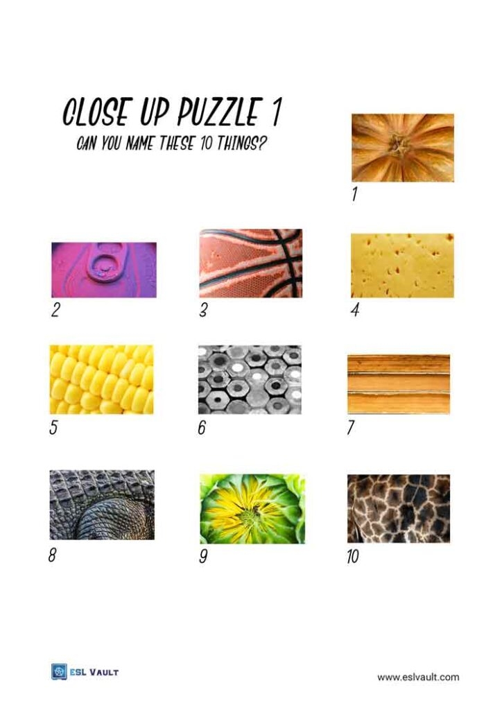 close up picture quiz printable