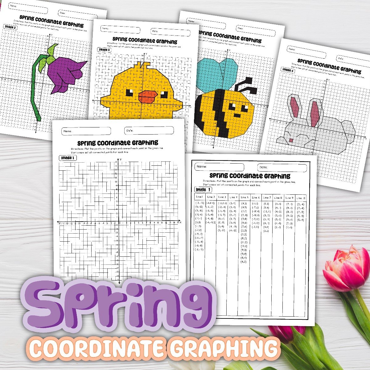 8 Free Printable Coordinate Graphing Picture Worksheets PDF 