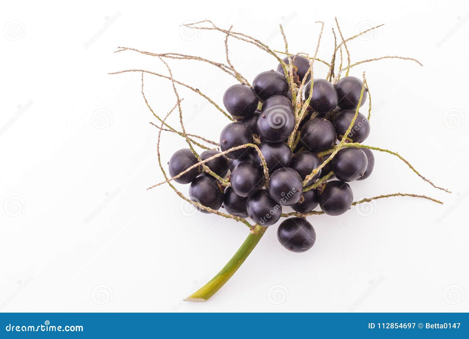 Acai Fruit On A White Background Stock Image Image Of Antioxidant