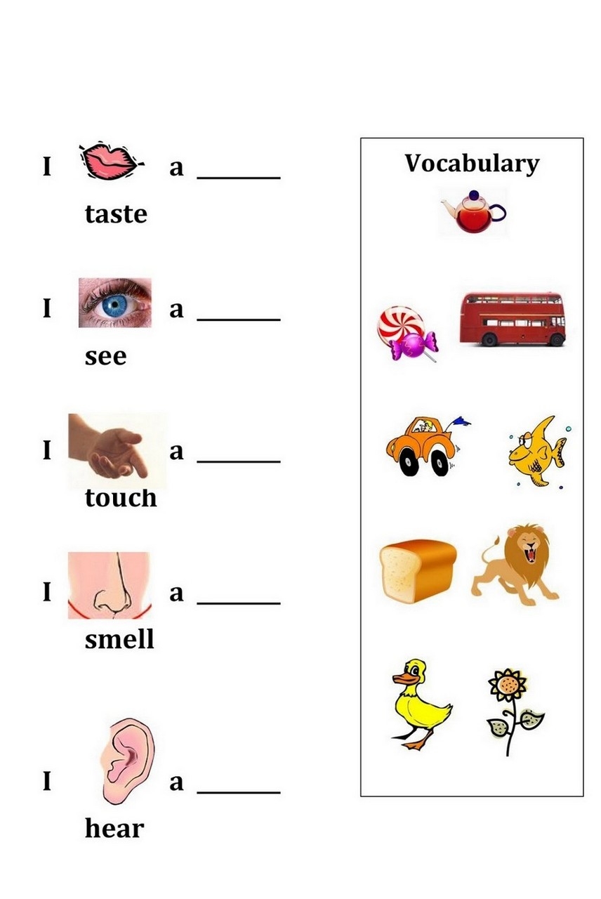 Activities For The Five Senses For Preschool Sheet Learning Printable