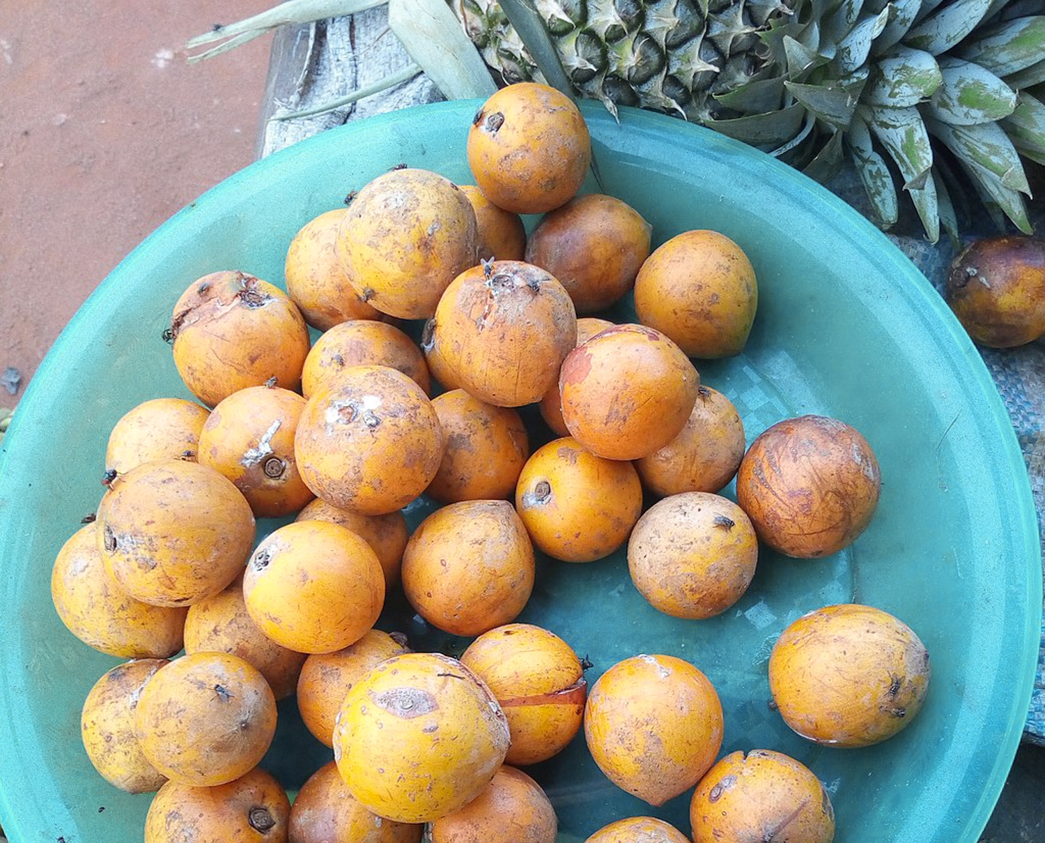 African Star Fruit The Roaming Fork
