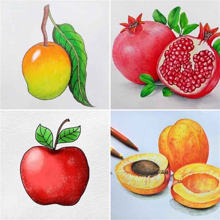fruits pictures for drawing easy