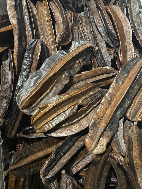 Aidan Fruit Prekese Tetrapleura Tetraptera uhio Uyayak Traditional