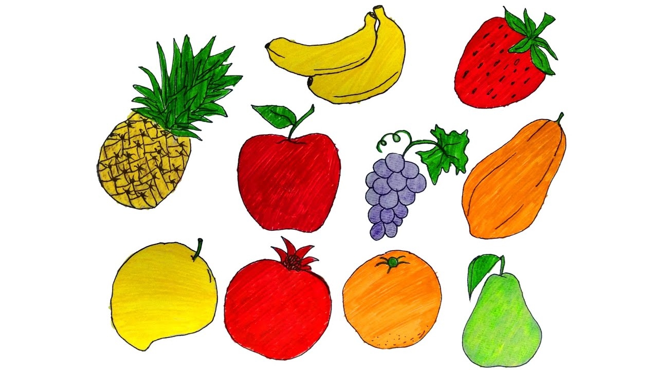All Fruits Drawing