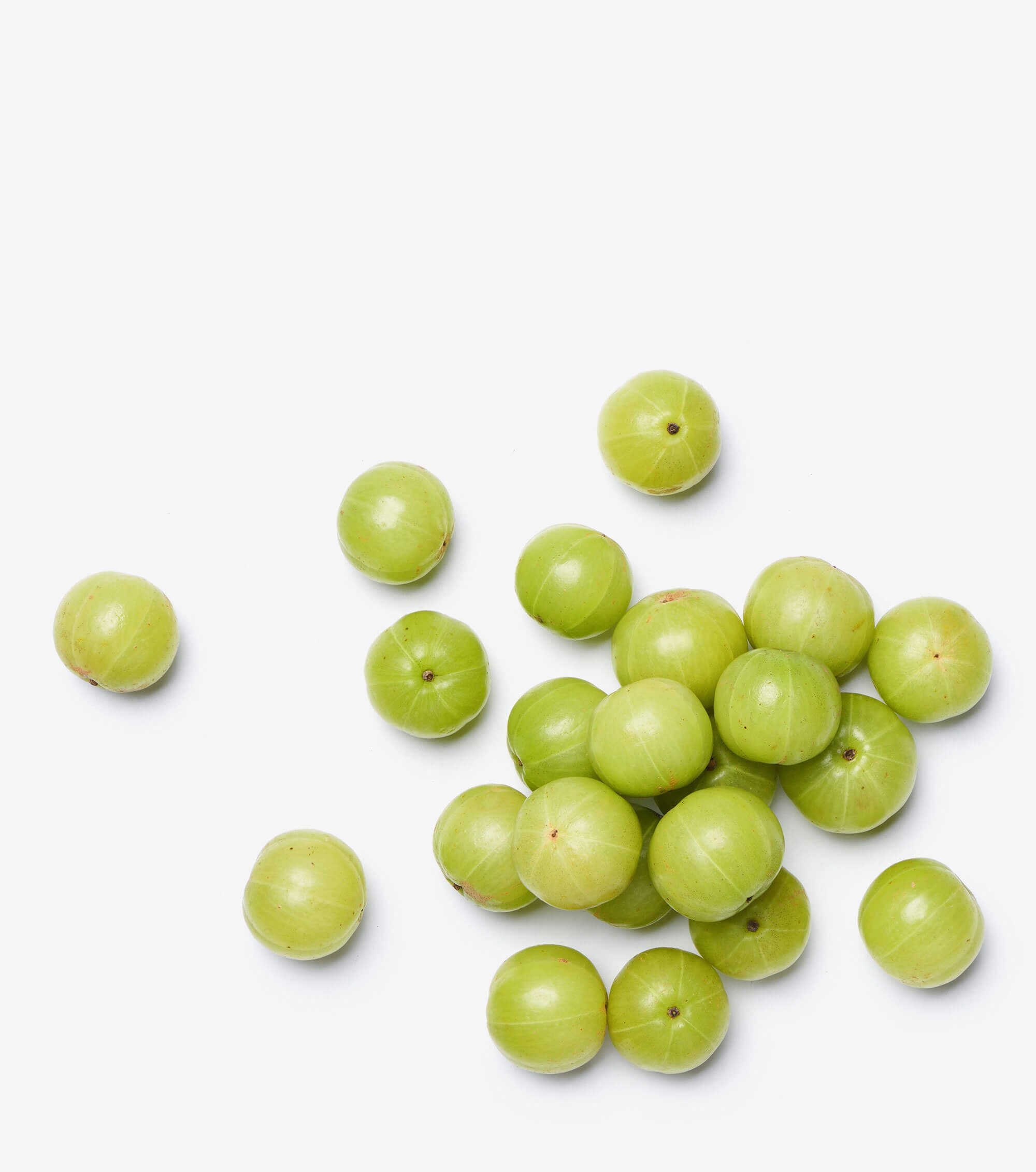 Amla Fruit Extract Gundry MD 