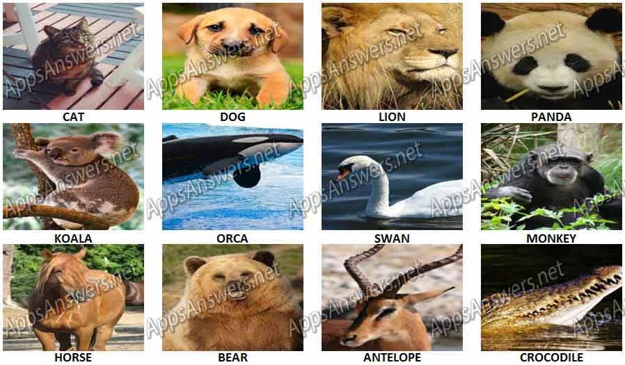 Animal Quiz Answers Apps Answers 