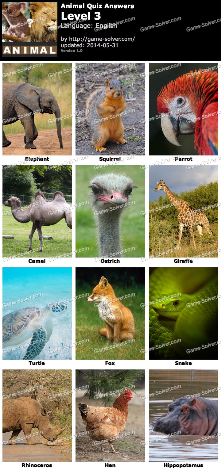 animal picture quiz with answers printable
