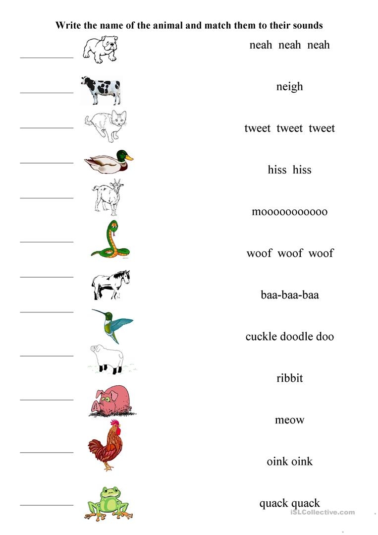 matching sounds to pictures second grade activity printable