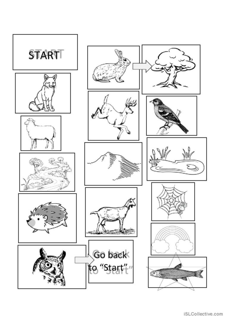Animals Forest Game Wildlife English ESL Worksheets Pdf Doc