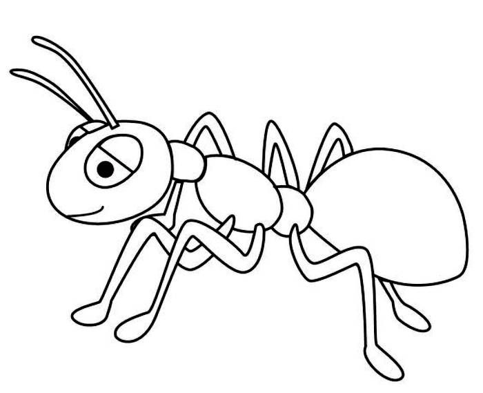 Ants Coloring Pages Free Printable PDF In 2024 Coloring Pages Free 