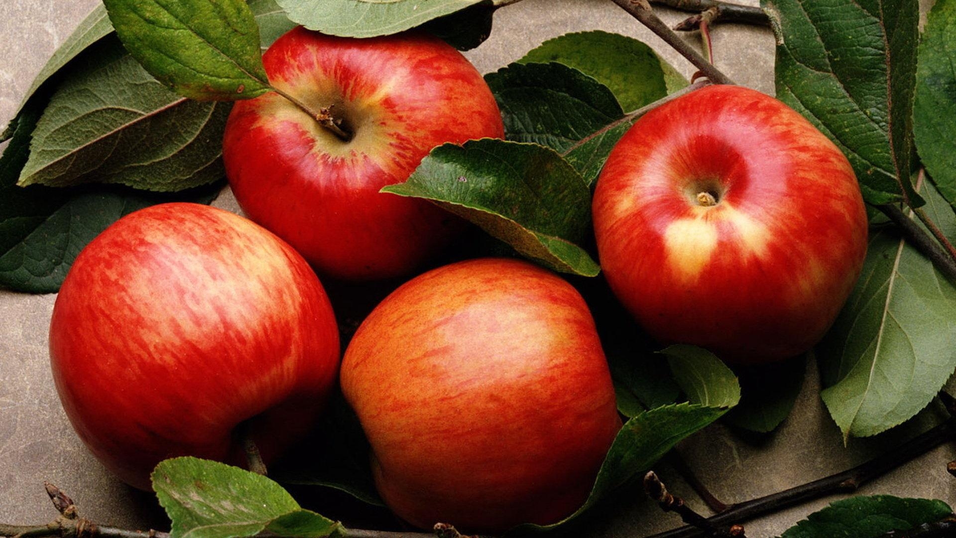 Apple Fruit Wallpapers Top Free Apple Fruit Backgrounds WallpaperAccess