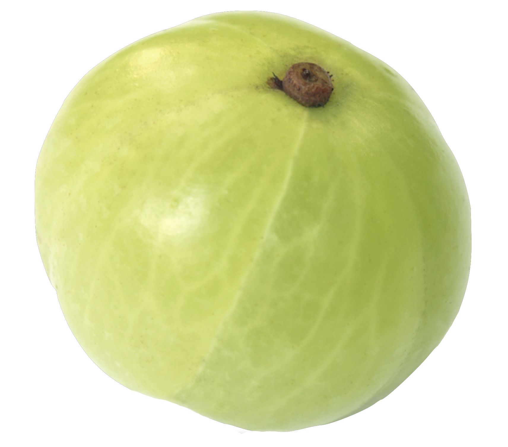 Applied Food Sciences Inc Amla Fruit Applied Food Sciences Inc 