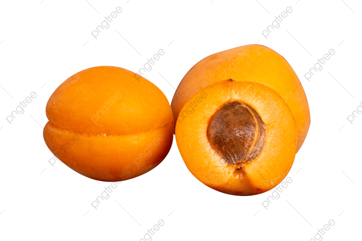 Apricot Clipart Hd PNG Fruit Apricot Weeping Apricot Apricot Meat 