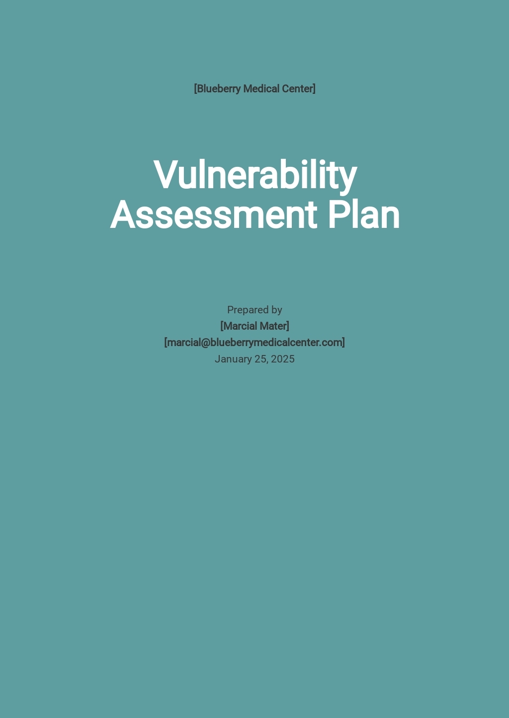 Assessment Plan Template Google Docs Word Template